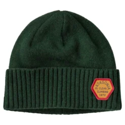 Patagonia Brodeo Beanie Clean Climb Patch Pinyon Green