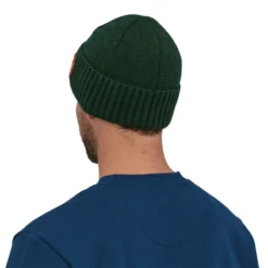 Patagonia Brodeo Beanie Clean Climb Patch Pinyon Green -Hengel Pro Verkoopwinkel 29206 CCPI ALL 3